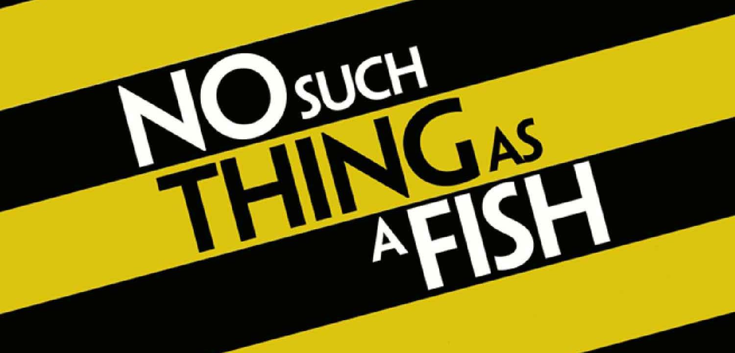 No Such Thing as A Fish